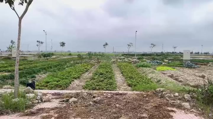 Đất nền An Cầu Quỳnh Phụ 108m² - Pháp lý rõ ràng