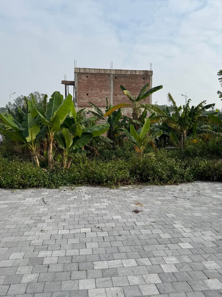 Đất Nền MB 520 Đông Sơn: 99m² Mặt Tiền 45m, Sổ Đỏ Sẵn Sàng - Đầu Tư Sinh Lời Cao