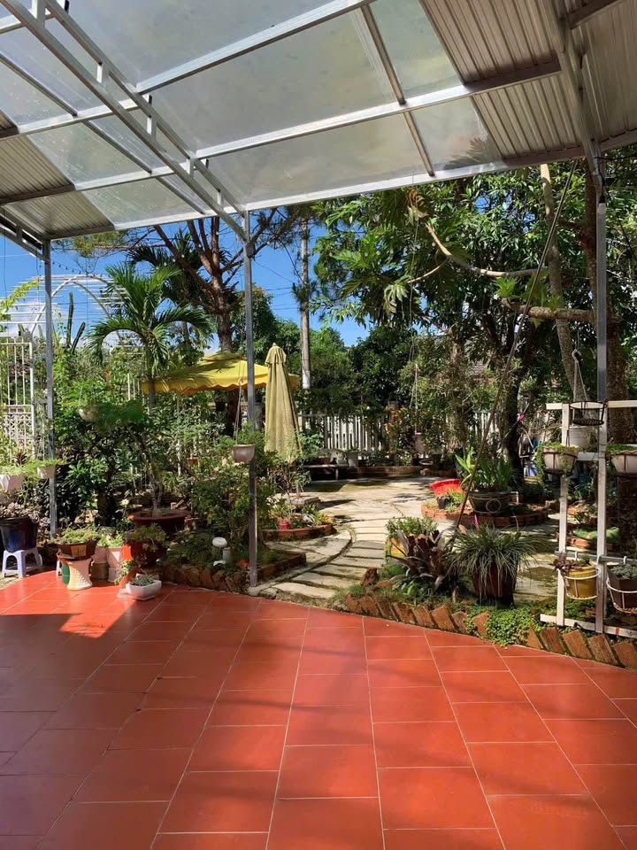 Nhà Vườn Bùi Thị Xuân, Bảo Lộc 680m² - Giá 7.5 Tỷ