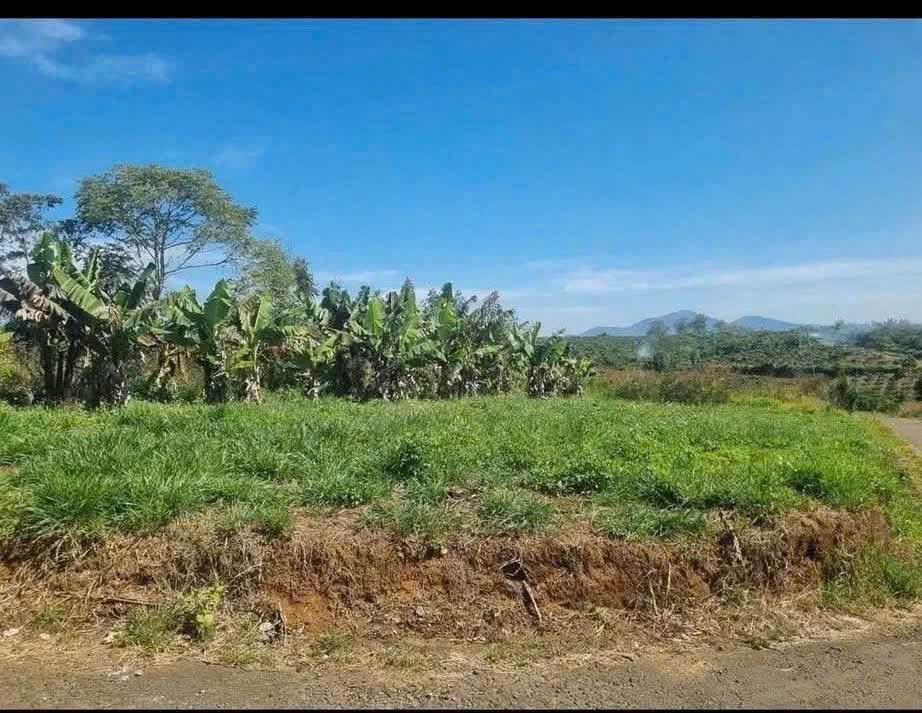 Đất nền Lộc An 190m² giá 385 triệu - Sổ hồng sẵn thổ cư!