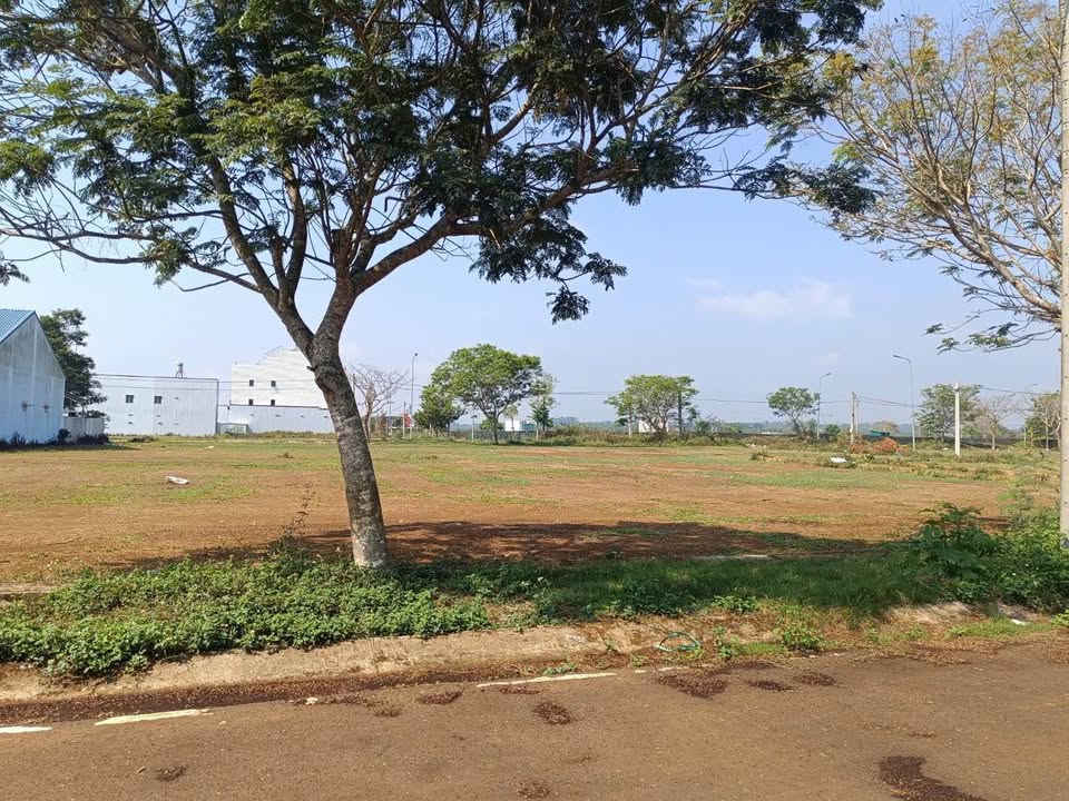 Đất nền Golden City Bảo Lộc 217m² giá 1.8 tỷ - Sổ đỏ chính chủ