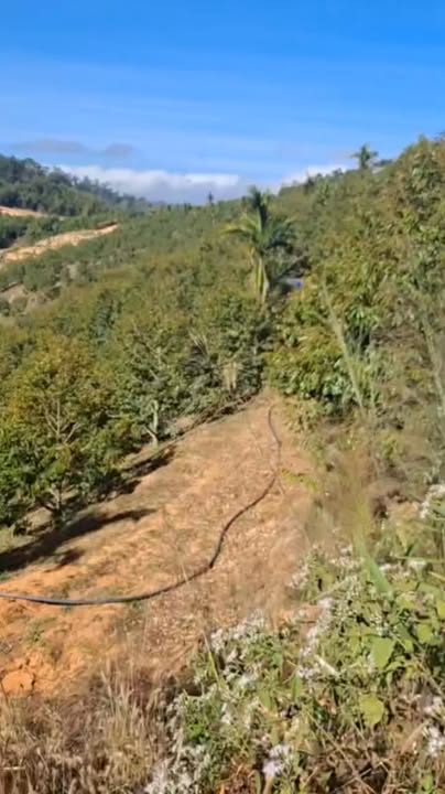 Đất Vườn Tân Thanh 10.000m² giá 2.9 tỷ - Đầu Tư Dài Hạn!