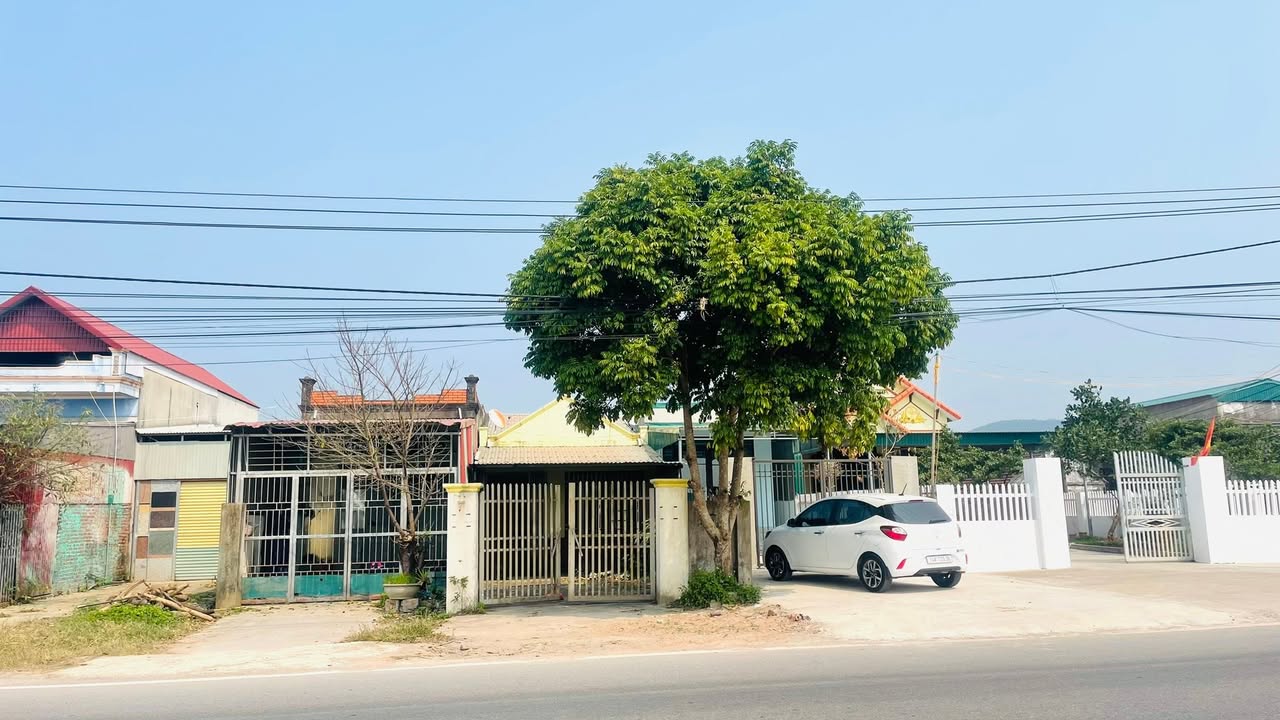 Nhà riêng Móng Cái 100m² - Ô tô vào tận nhà, kinh doanh đỉnh!