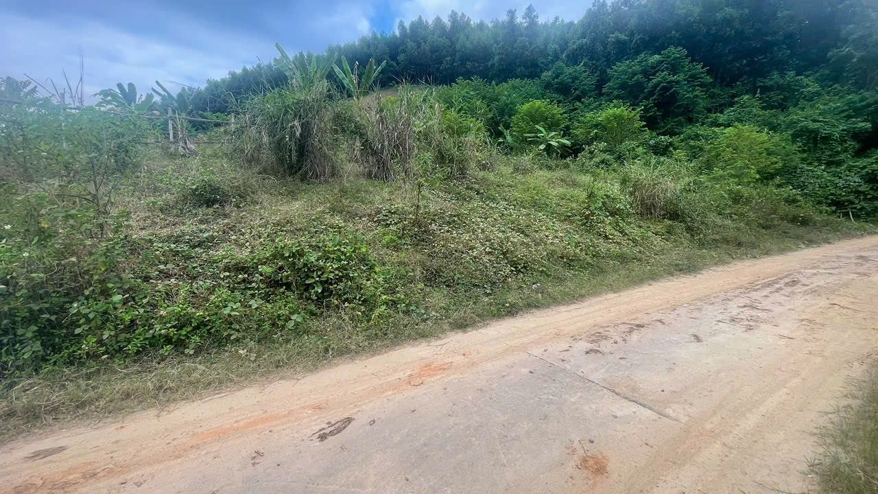 Đất nền 2400m² Khánh Đông, Khánh Vĩnh - Sổ đỏ sẵn, giá đầu tư 800 triệu