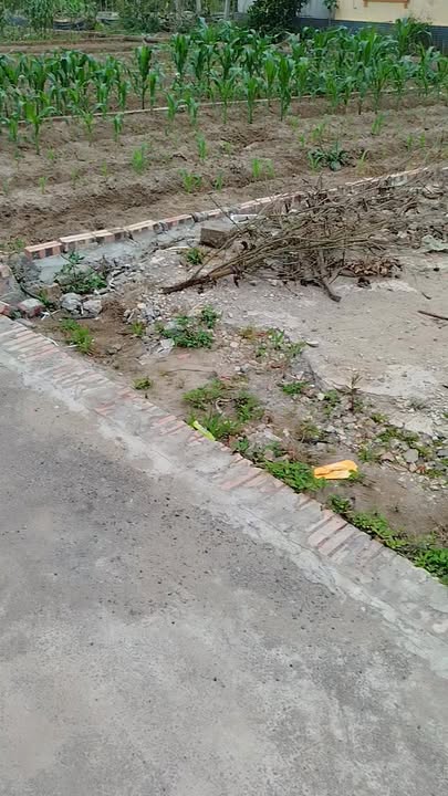 Bán đất Kiến Thụy Hải Phòng 79.8m² giá 1.7 tỷ - Sổ đỏ chính chủ