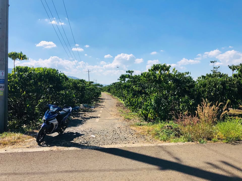 Đất nền Lộc Nga Bảo Lộc 621m² giá 938 triệu - Tiềm năng tăng giá vượt trội!