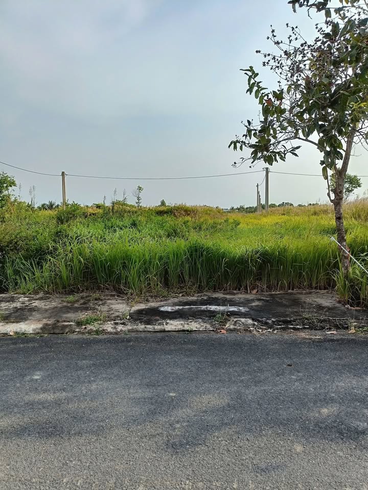 Đất nền KDC Nam Phong Ecotown 85m² Long An - Tiềm năng tăng giá!