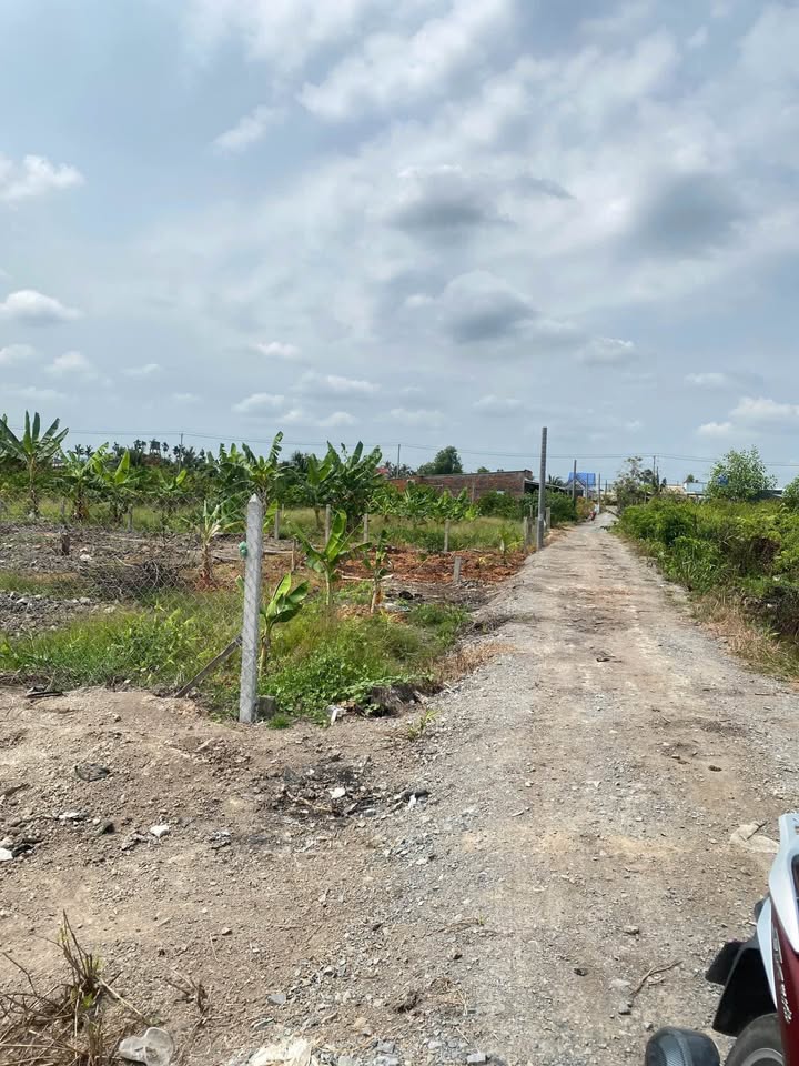 Đất vườn Thạnh Hòa Bến Lức 1000m² giá 890 triệu - Sổ đỏ chính chủ