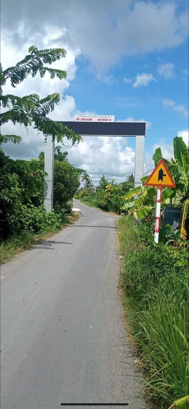 Bán Gấp Đất Thổ Cư 1538m² Sổ Riêng Chính Chủ Tại Thủ Thừa, Long An