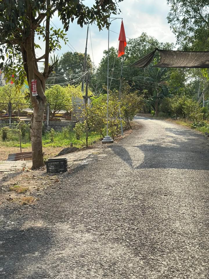 Bán Nền Phong Mỹ Đồng Tháp 500m² - Sổ Hồng Thổ Cư, Gần Sông Mát Mẻ