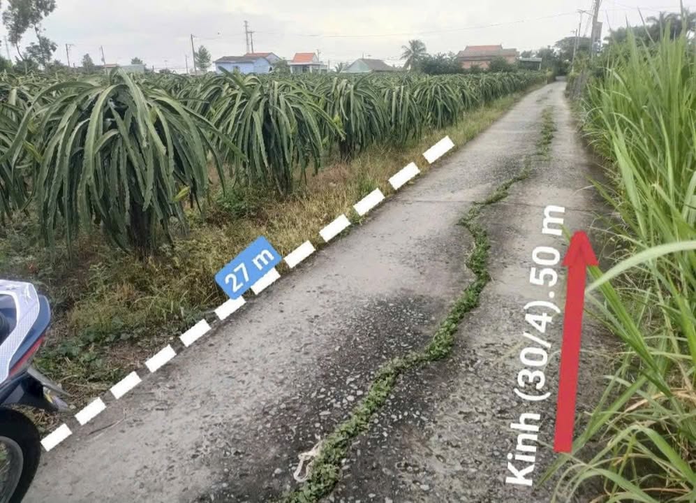 Đất Thổ Cư Châu Thành Long An - 172m² Sổ Hồng Sẵn Sàng