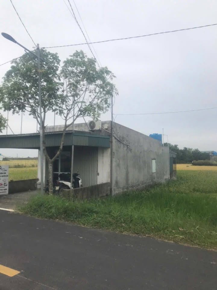 Đất nền Bắc Hải Tiền Hải 125m² Hơn 1 tỷ - Sổ đỏ chính chủ