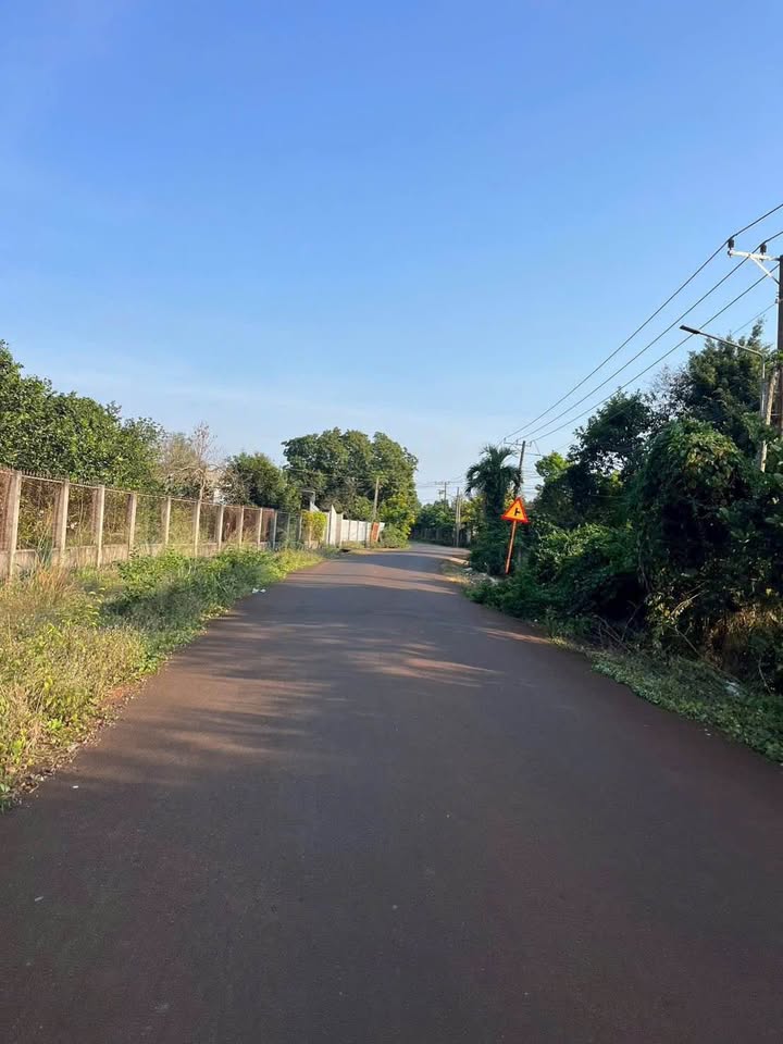 Bán Gấp Đất Vườn 9400m² Mặt Tiền Nhựa Tân Thành, TP.HCM - Sầu Riêng Thu Hoạch