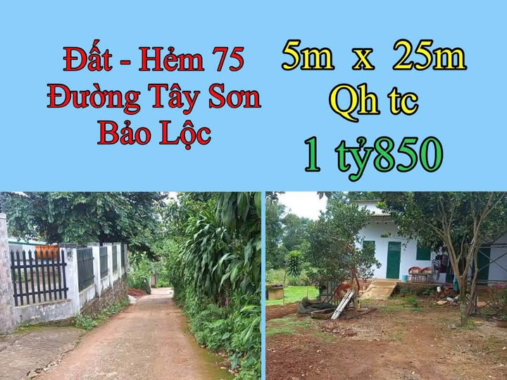 Bán Đất Hẻm 75 Tây Sơn, Bảo Lộc 125m² - Sổ Hồng Riêng