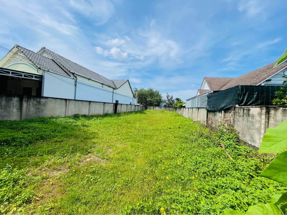 Đất Thổ Cư Củ Chi 535m² Mặt Tiền Lê Thị Dệt - Sổ Hồng Riêng