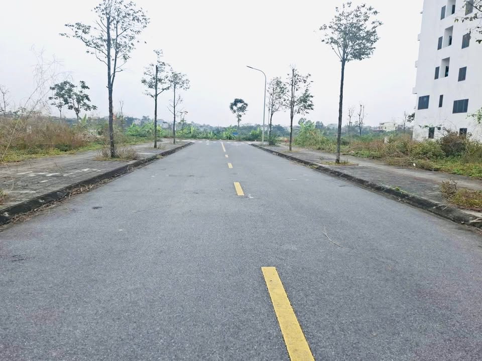 Đất nền Himlam Thụ Ninh 86.3m² giá 7 tỷ - Tiềm năng tăng giá vượt trội!