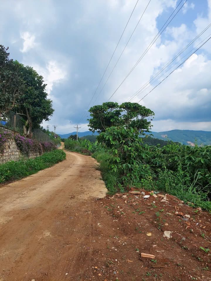 Đất Nông Nghiệp Tà Nung Đà Lạt 3000m² - Sổ Đỏ Sẵn Sàng