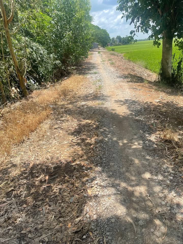 Đất nền Hưng Thạnh, Tháp Mười 42.000m² - Sổ đỏ chính chủ!