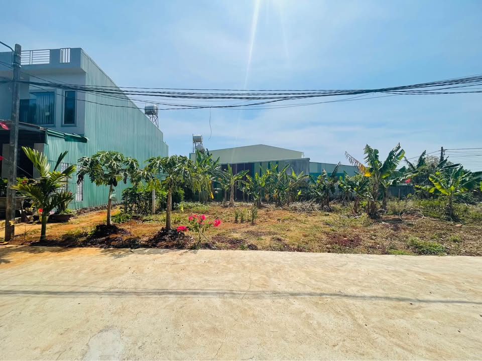 Đất nền An Phú Pleiku 79m² - Đường to ô tô, sổ đỏ chính chủ!