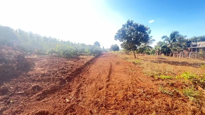 Đất nền Cư Suê, Cư M'gar 1080m² – Sổ đỏ chính chủ, đường 18m!