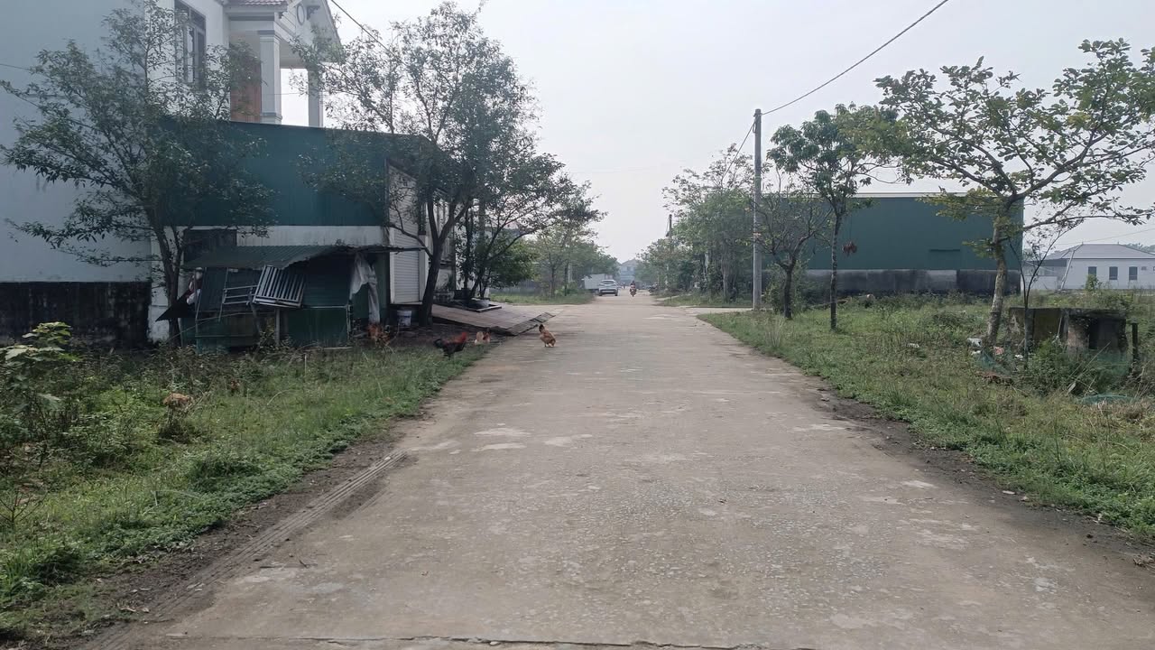 Đất nền Xã Thạch Đài, TP Hà Tĩnh 100m² - Đường to ô tô