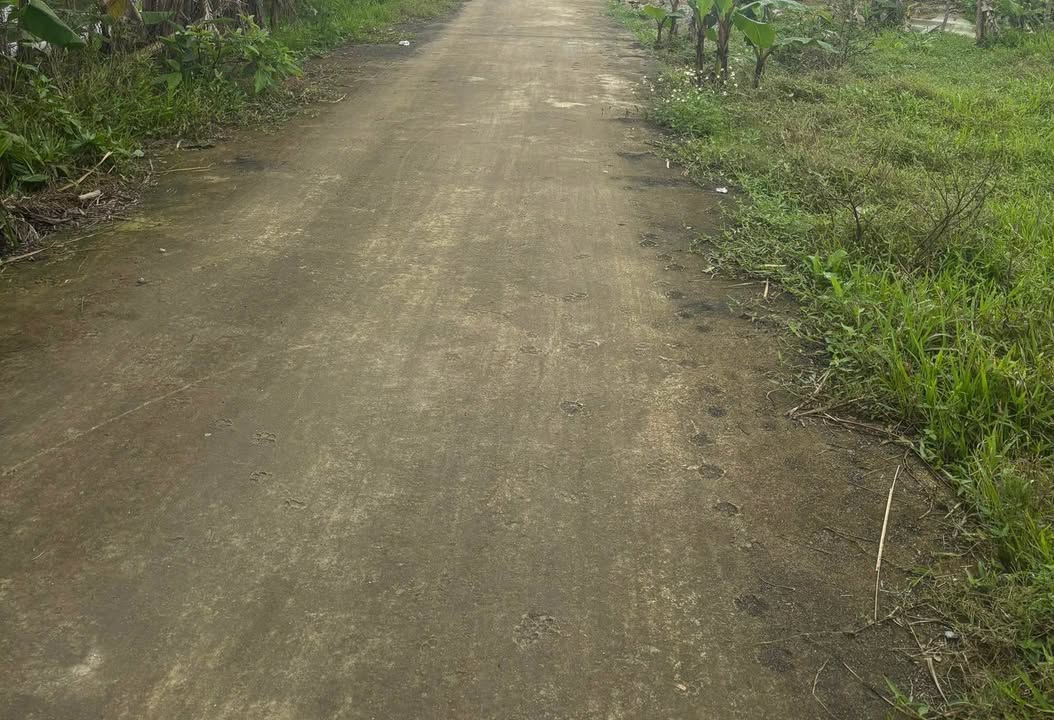 Đất nền Thạch Thắng 300m² - Sổ đỏ chính chủ - Giá chỉ 1.3 tỷ