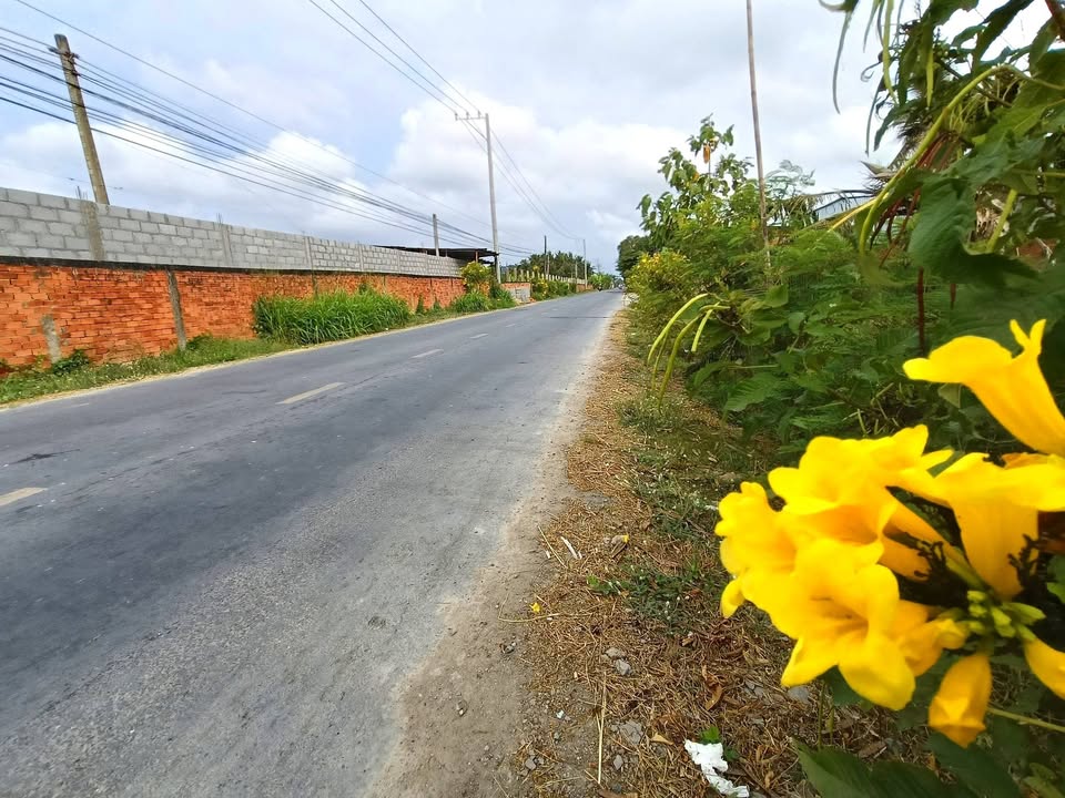 Đất nền Tiền Giang 512m² giá 1.649 tỷ - Sổ đỏ chính chủ