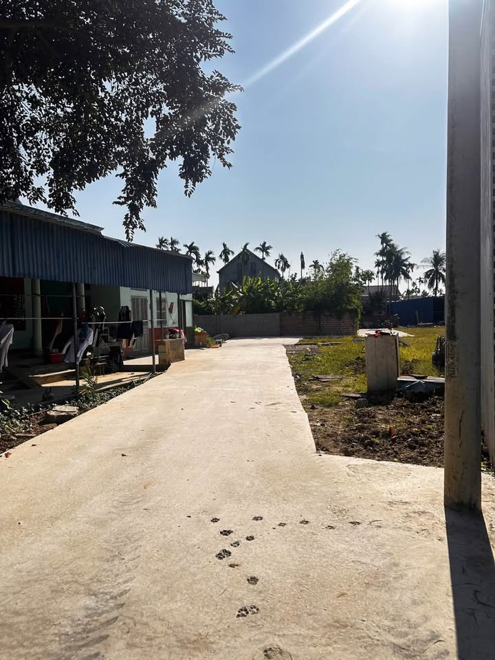 Đất nền Lâm Động 60m² - Sổ đỏ chính chủ, bán gấp!