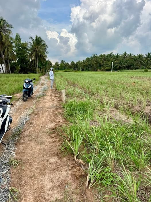 Đất Vườn Tiền Giang 500m² - Giá 200 Triệu, Sổ Hồng Sẵn Sàng