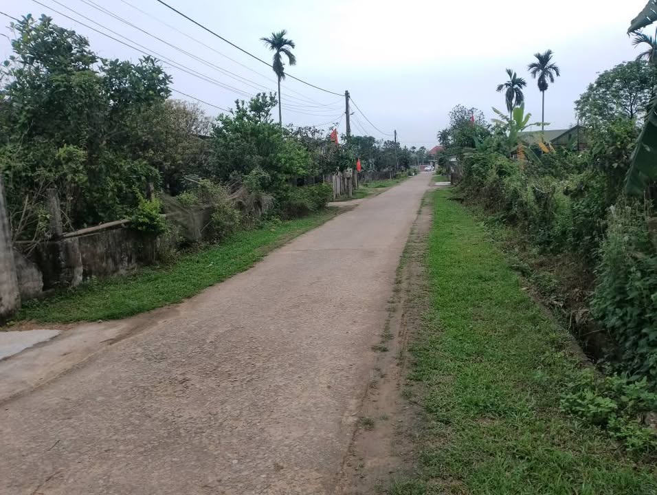 Đất Thạch Xuân Hà Tĩnh 1202m² - Sổ đỏ, 2 mặt tiền, giá tốt!