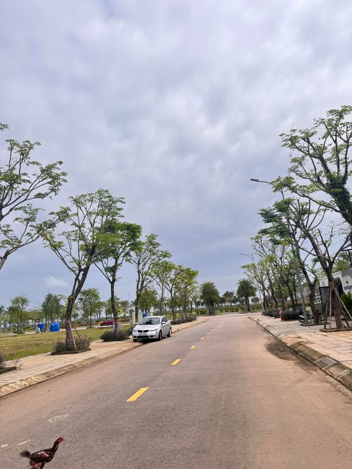 Đất Lô Góc 213m² KDC Cầu 1,2 Tống Duy Tân, Quảng Nam - Giá 4 Tỷ