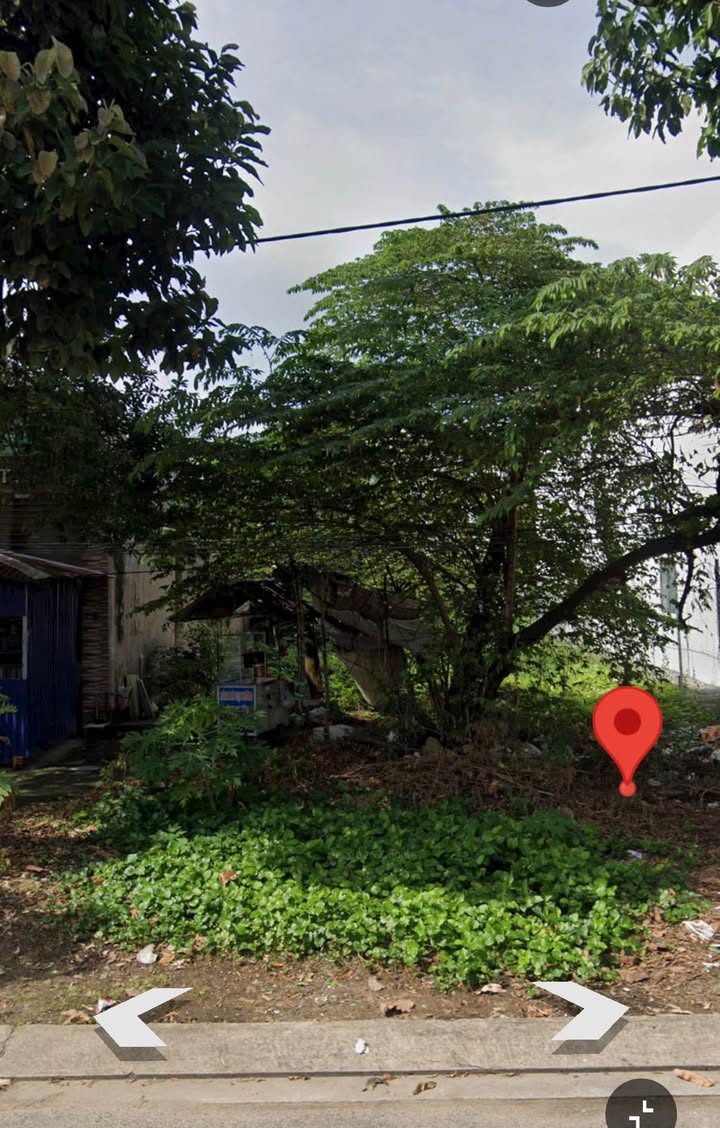 Bán Nền Mặt Tiền Đường 3/2, Tri Tôn, An Giang - 125m² Hướng Đông Bắc