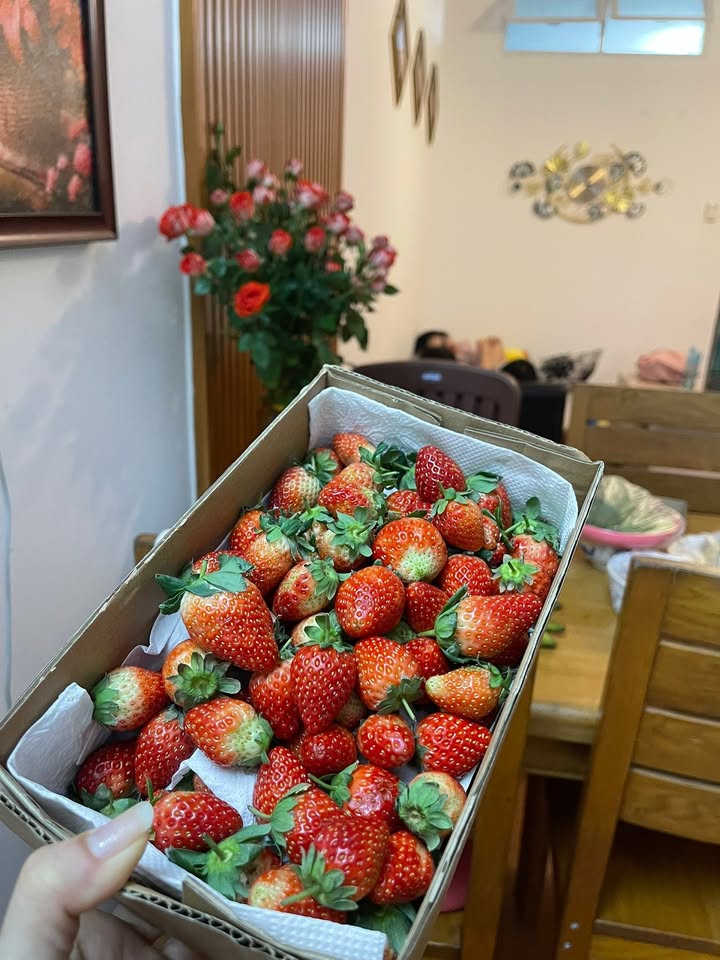 Căn hộ 75m² Quận 1 - View Biển, 2PN Full Nội Thất, Giá 2.75 Tỷ