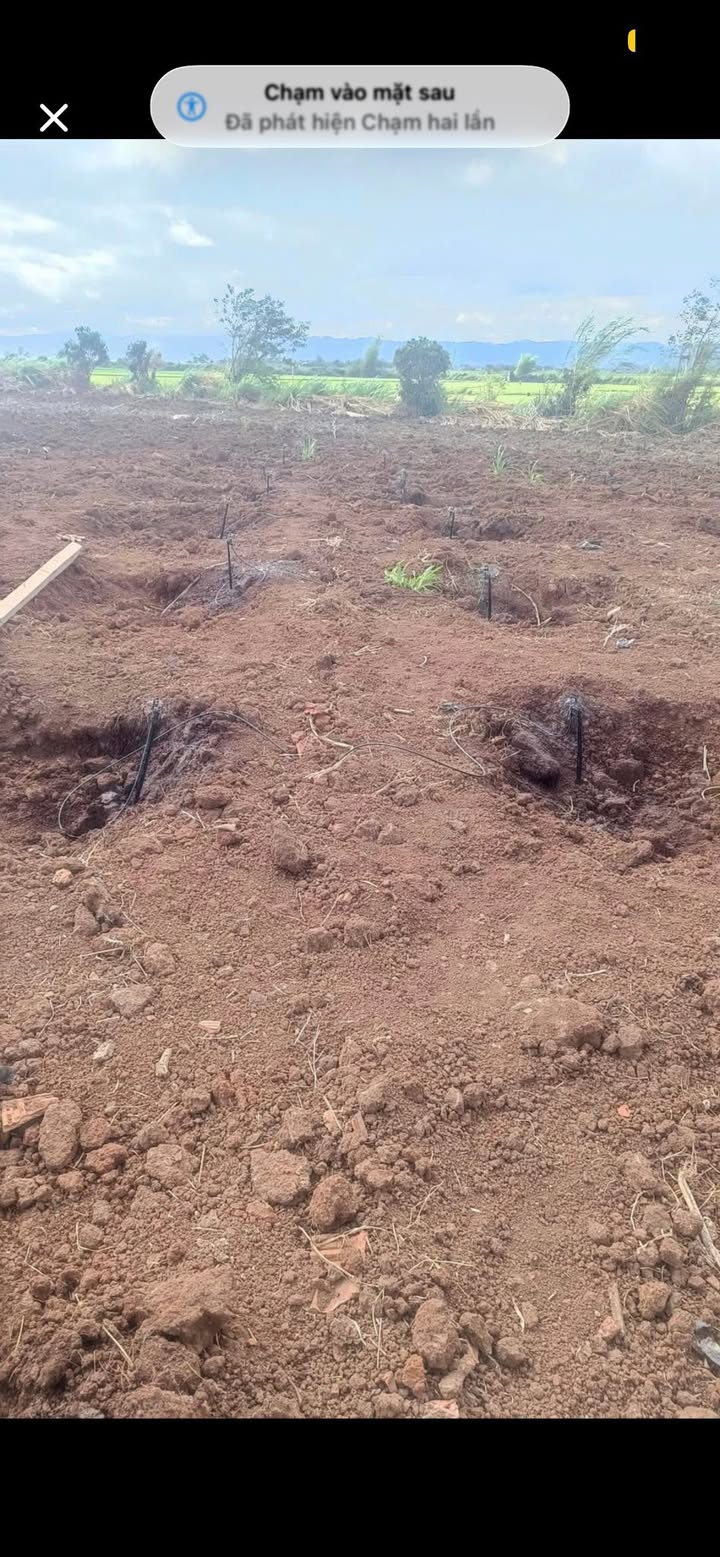 Đất rẫy Ea Na 1.08ha, 800m² thổ cư - Sẵn sàng xuống giống, sinh lời ngay!