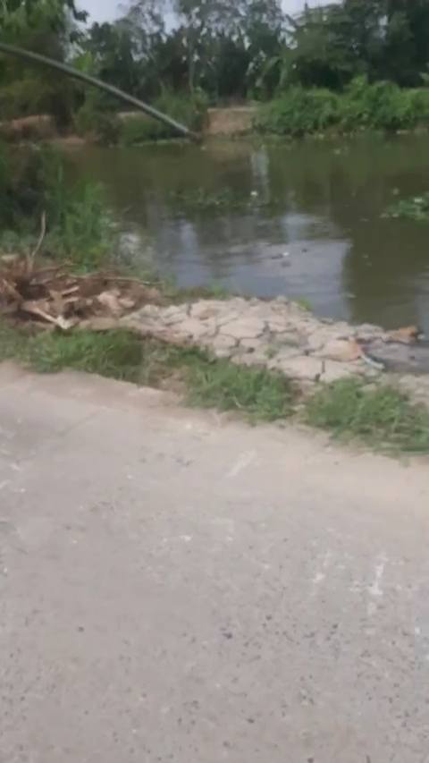 Đất nền 700m² Tân Dương, Đồng Tháp - Pháp lý rõ ràng!