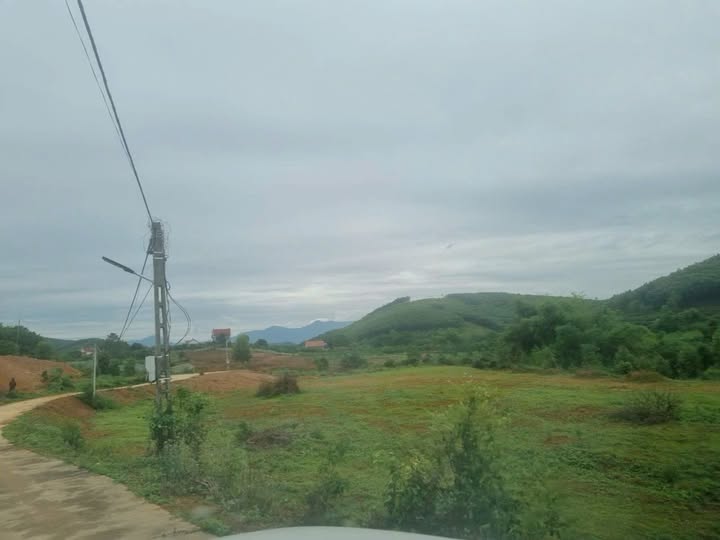 Đất Vườn Sổ Hồng Tân Mộc Lục Ngạn 3000m² - Giá Tốt Đầu Xuân!