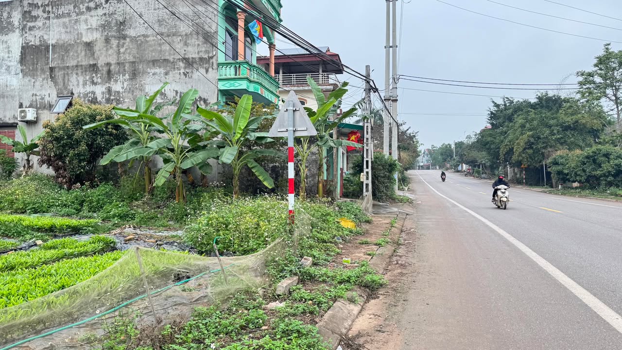 Đất nền Yên Thế 107m² - Sổ đỏ chính chủ, mặt Tỉnh lộ 292!