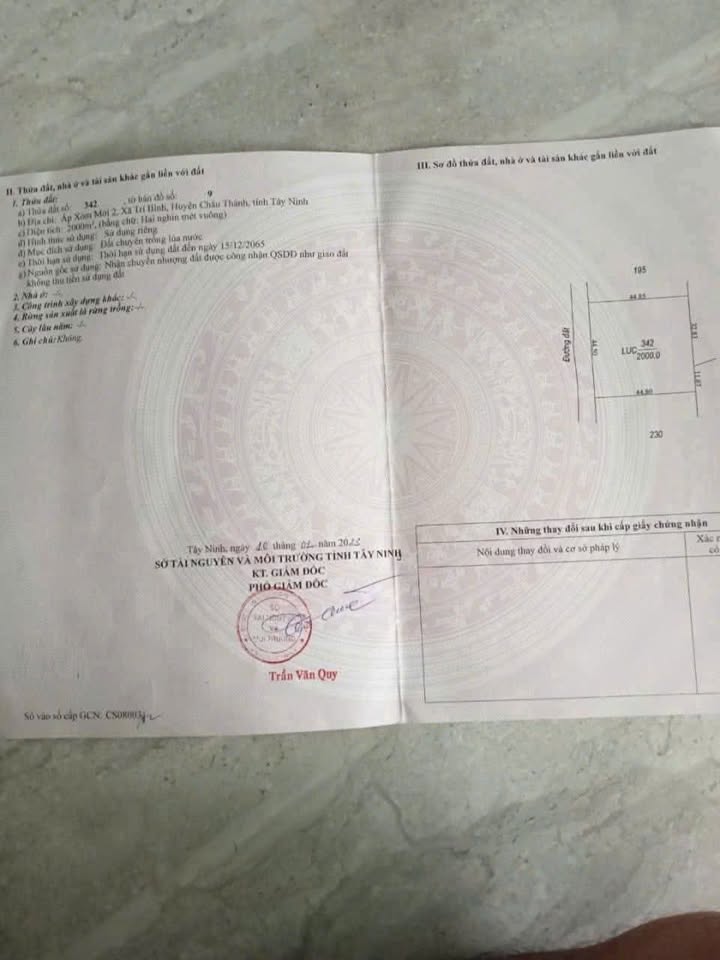 Đất nền Xã Trí Bình Châu Thành 1993.6m² - Xây dựng tự do!