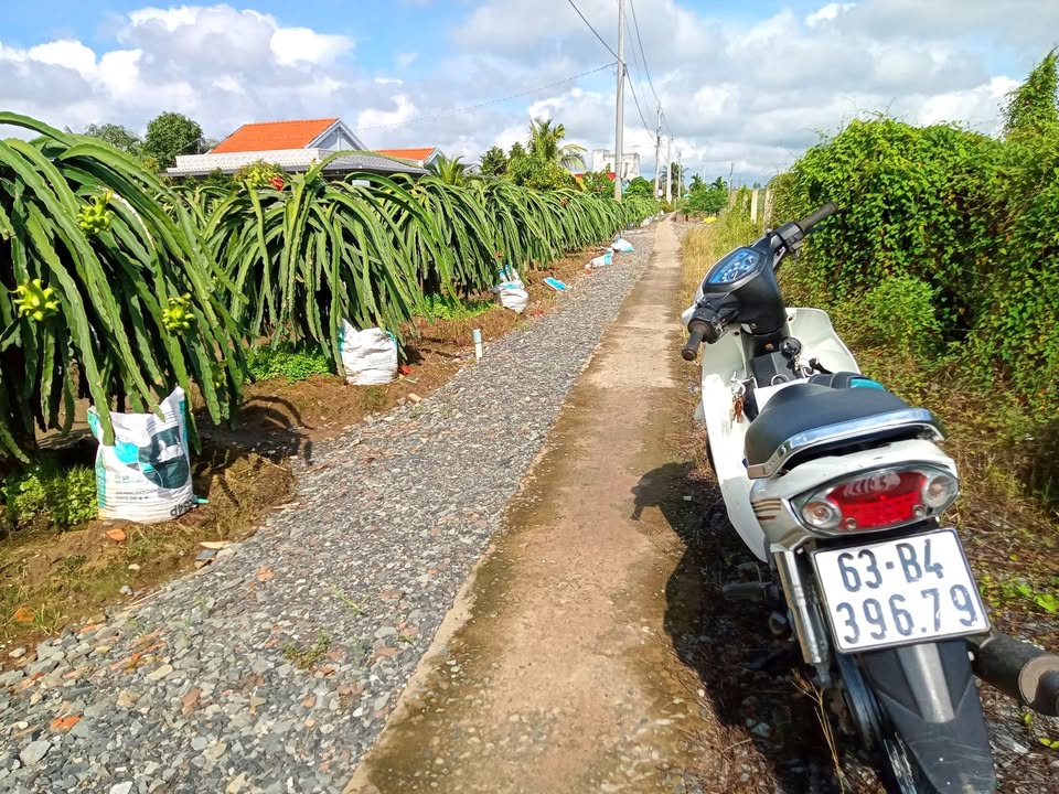 Đất Nền Chợ Gạo, Tiền Giang - 336m² Sổ Hồng Sẵn Sàng - Giá 330 Triệu