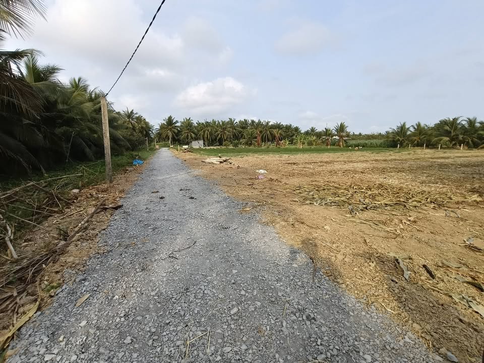 Đất Nền 540m² Đồng Tháp - Giá 450 Triệu, Cây Lâu Năm, View Kênh