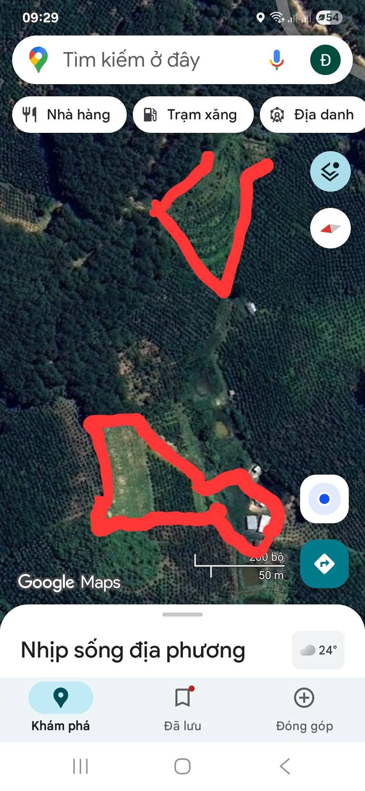 Bán Gấp 10.000m² Đất Vườn Cafe Thổ Mộc Lâm Đồng - Có Hồ Nước Riêng