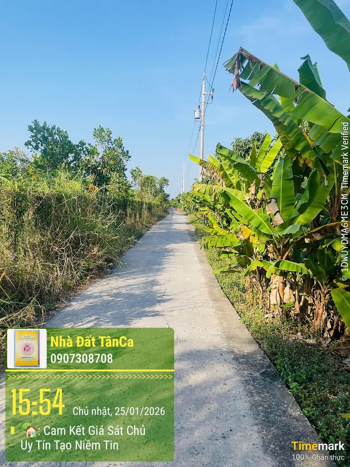 Bán Đất Ruộng 5500m² Mặt Tiền QL30, TT. Thanh Bình, Đồng Tháp - Giá Tốt