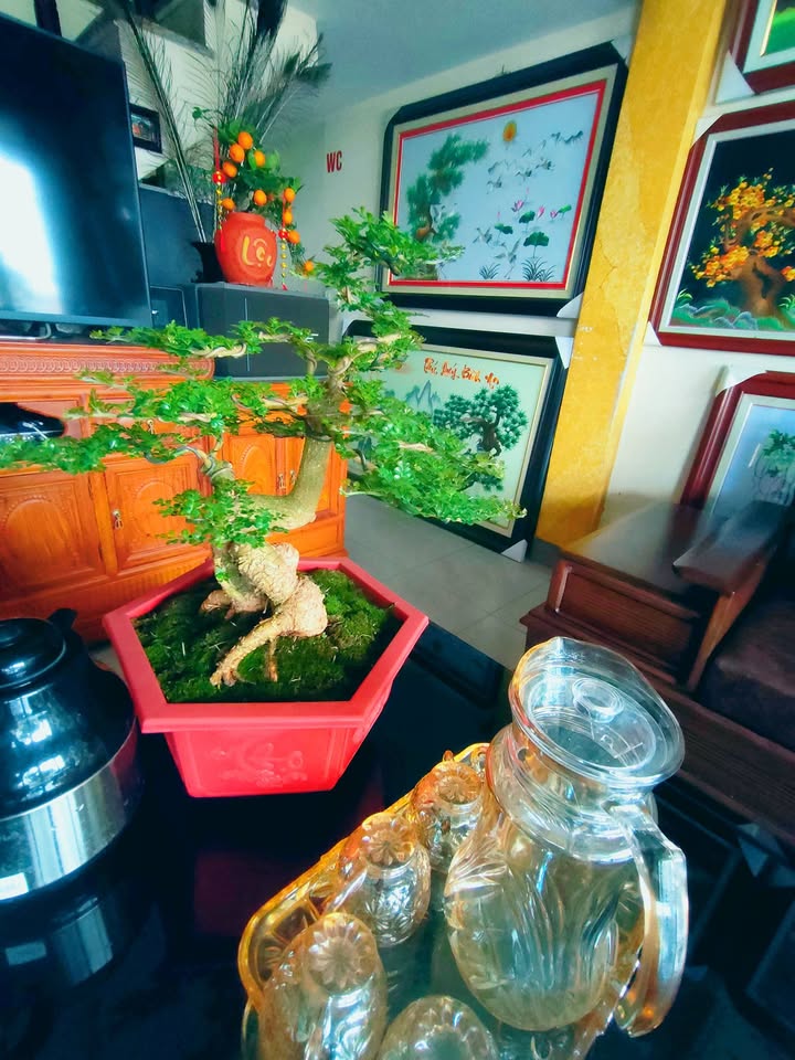 Đất nền Thạch Thất 80m² giá 3.1 tỷ - Sổ đỏ chính chủ, xây dựng tự do!