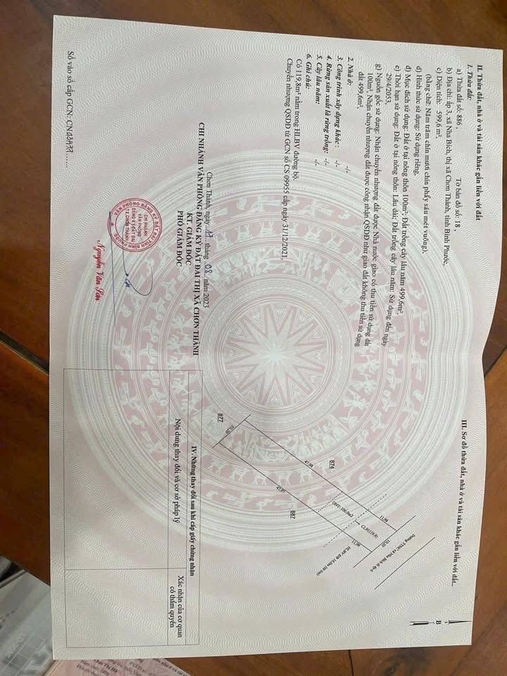 Đất Vàng Mặt Tiền Dương Nha Trang, Bến Cát - 600m², Chỉ 3.45 Tỷ