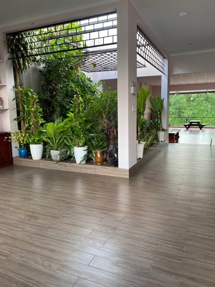 Nhà Vườn Nghỉ Dưỡng View Sông Phú Hài 425m² - Giá 4.2 Tỷ