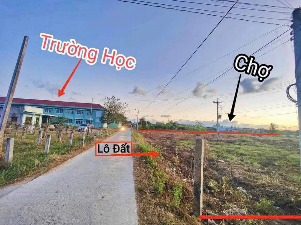 Đất Vườn 1.1ha Bình Thuận - Sổ Thổ Cư, Đối Diện Trường Học, Giá Tốt