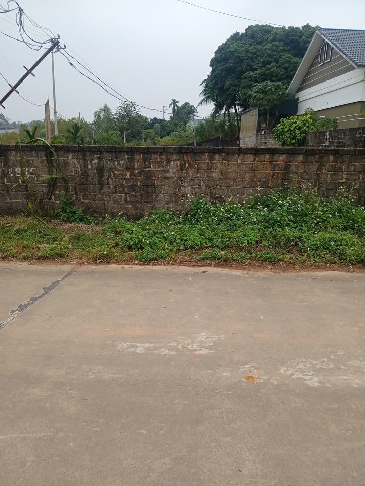 Bán đất 337m² Tam Nông, Phú Thọ - Hai Mặt Tiền Đẹp, Sẵn Sổ Đỏ