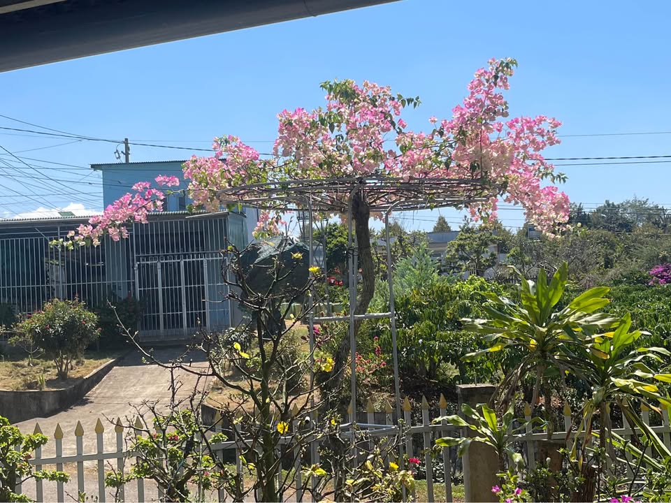 Bán đất nền Phú Lâm, Đồng Nai 125m² - Ngay Quốc lộ 20, giá 2.49 tỷ