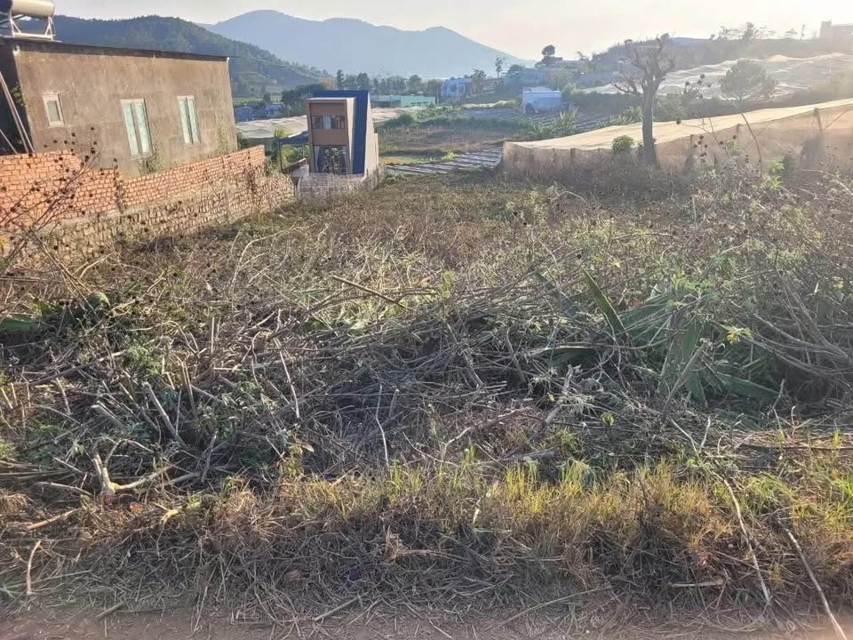 Bán đất Quảng Lập Đơn Dương 789m² giá 1.1 tỷ - Sổ đỏ sẵn, đầu tư sinh lời!