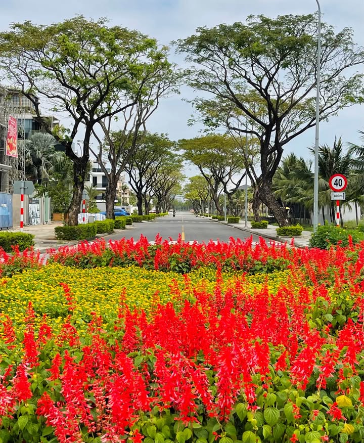 Đất nền 90m² hướng Bắc Khu V5 Ngũ Hành Sơn - Giá 5.1 Tỷ